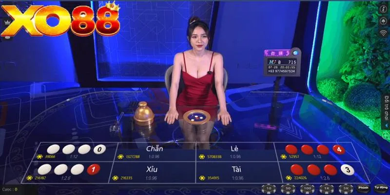 Xóc đĩa Livestream XO88